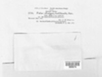 Image Associated With the Occurence